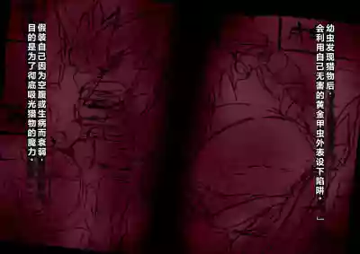 第28頁圖