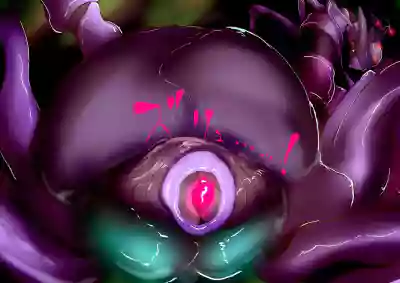 第44頁圖