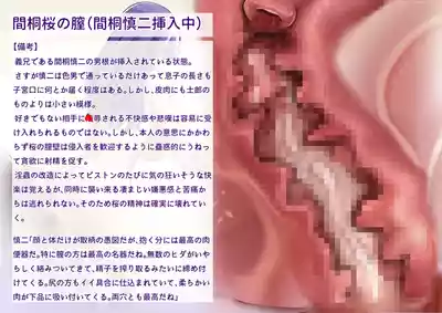 第28页 封面 - HaSM.cc
