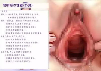 第24页 封面 - HaSM.cc
