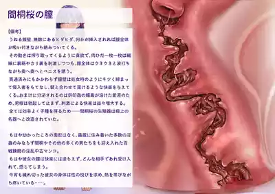 第32页 封面 - HaSM.cc