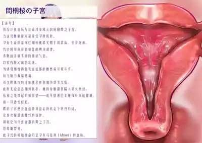 第44页 封面 - HaSM.cc