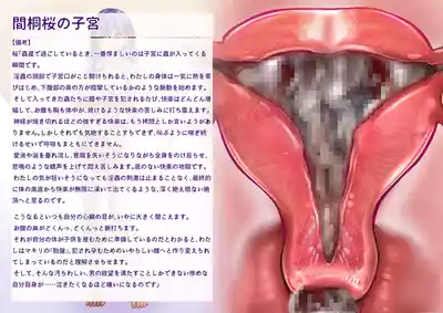 第48页 封面 - HaSM.cc