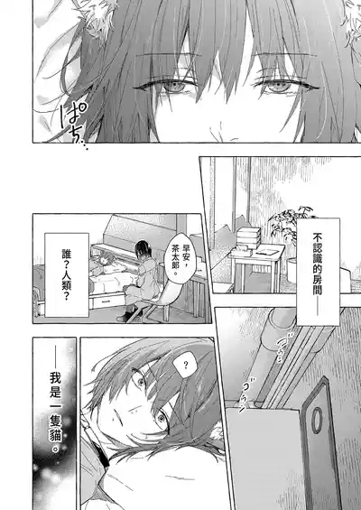 第8頁 封面 - HaSM.cc