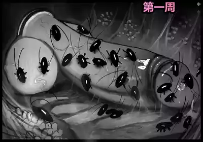 第60頁 封面 - HaSM.cc