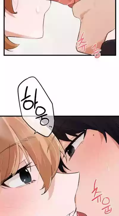 第152頁圖
