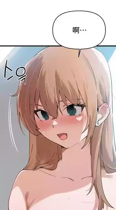 第204頁圖