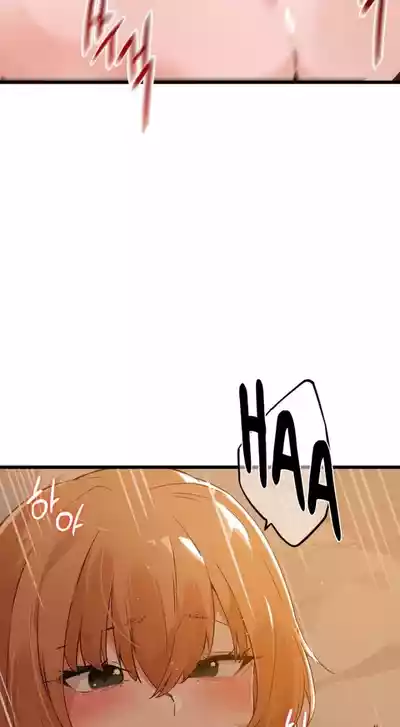 第456頁圖