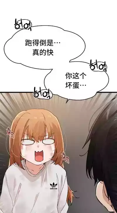 第508頁圖