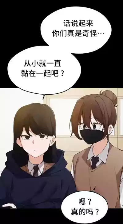 第528頁圖