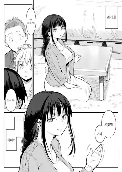 第204頁圖