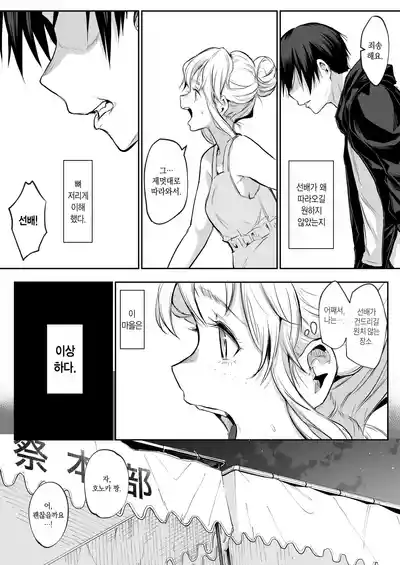 第256頁圖