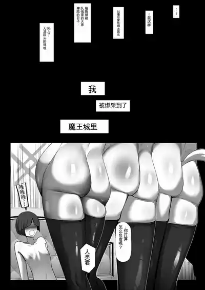 第48页 封面 - HaSM.cc