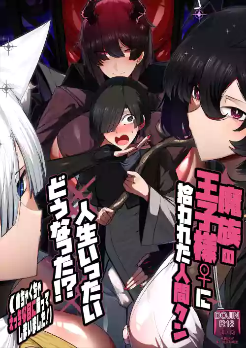Mazoku no Ouji-sama ♀ ni Hirowareta Ningen-kun, Jinsei Ittai Dou Natta!? + Omake 封面 - HaSM.cc