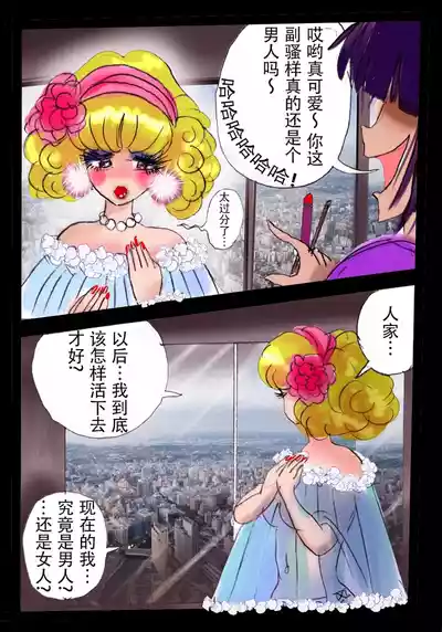 第4页 封面 - HaSM.cc