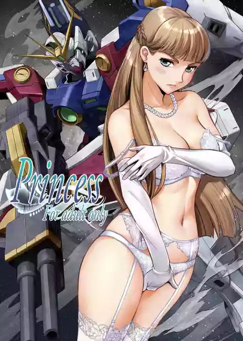 Princess 封面 - HaSM.cc