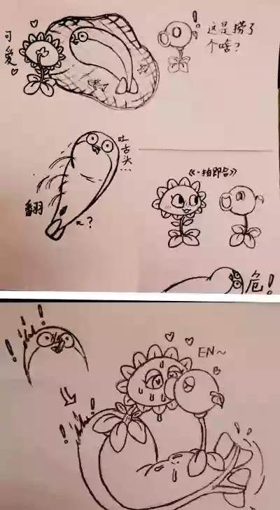 第16页 封面 - HaSM.cc