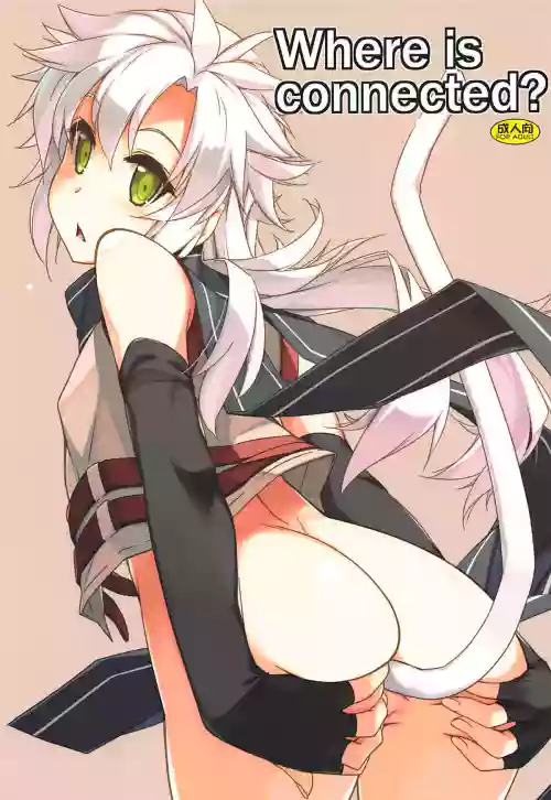 Where is connected? 封面 - HaSM.cc