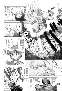 第56頁圖
