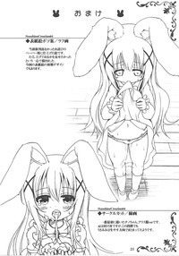 第20页图