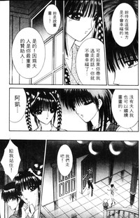 第204頁圖