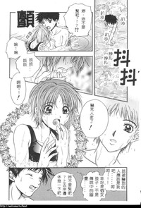 第28頁圖