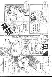第52頁圖
