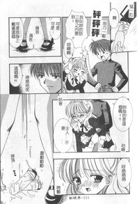 第112頁圖