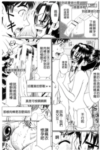 第196頁圖
