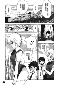 第8頁圖