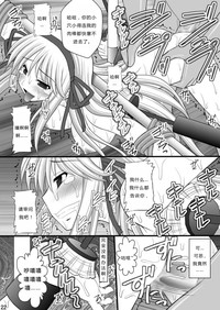 第20页图