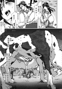 第136頁圖