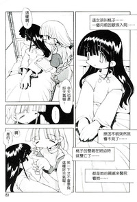 第84頁圖