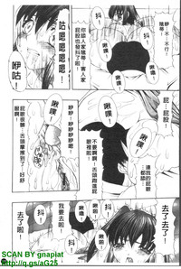 第196頁圖