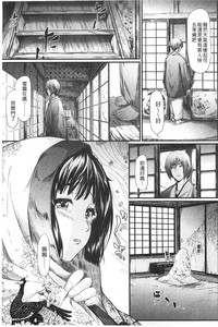 第80頁圖