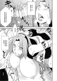 第12頁圖