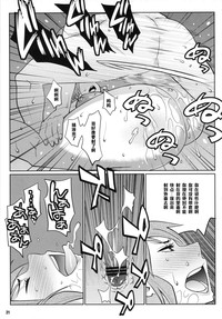 第20頁圖