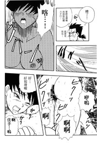 第136頁圖