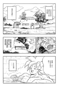 第100頁圖