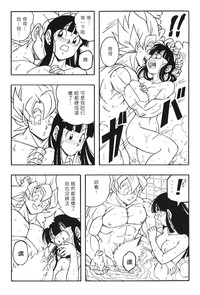 第104頁圖