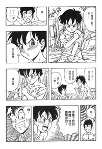 第96頁圖