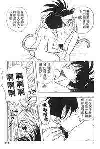 第112頁圖