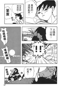 第88頁圖