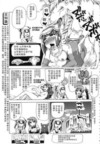 第216頁圖