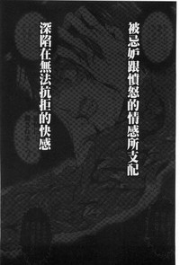 第204頁圖