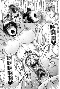 第204頁圖