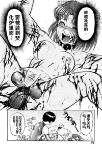 第116頁圖