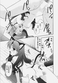 第28頁圖