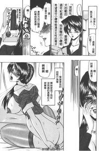 第12页图