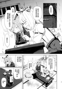 第8页图